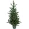 4ft. Pre-Lit Potted Real Touch™ Grande Spruce Artificial Christmas Tree, Clear Lights